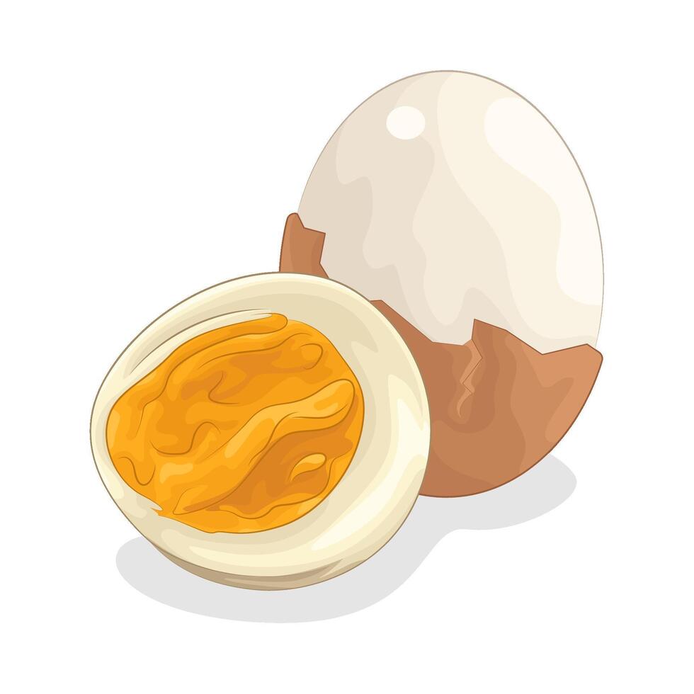 Illustration of boiled egg vector