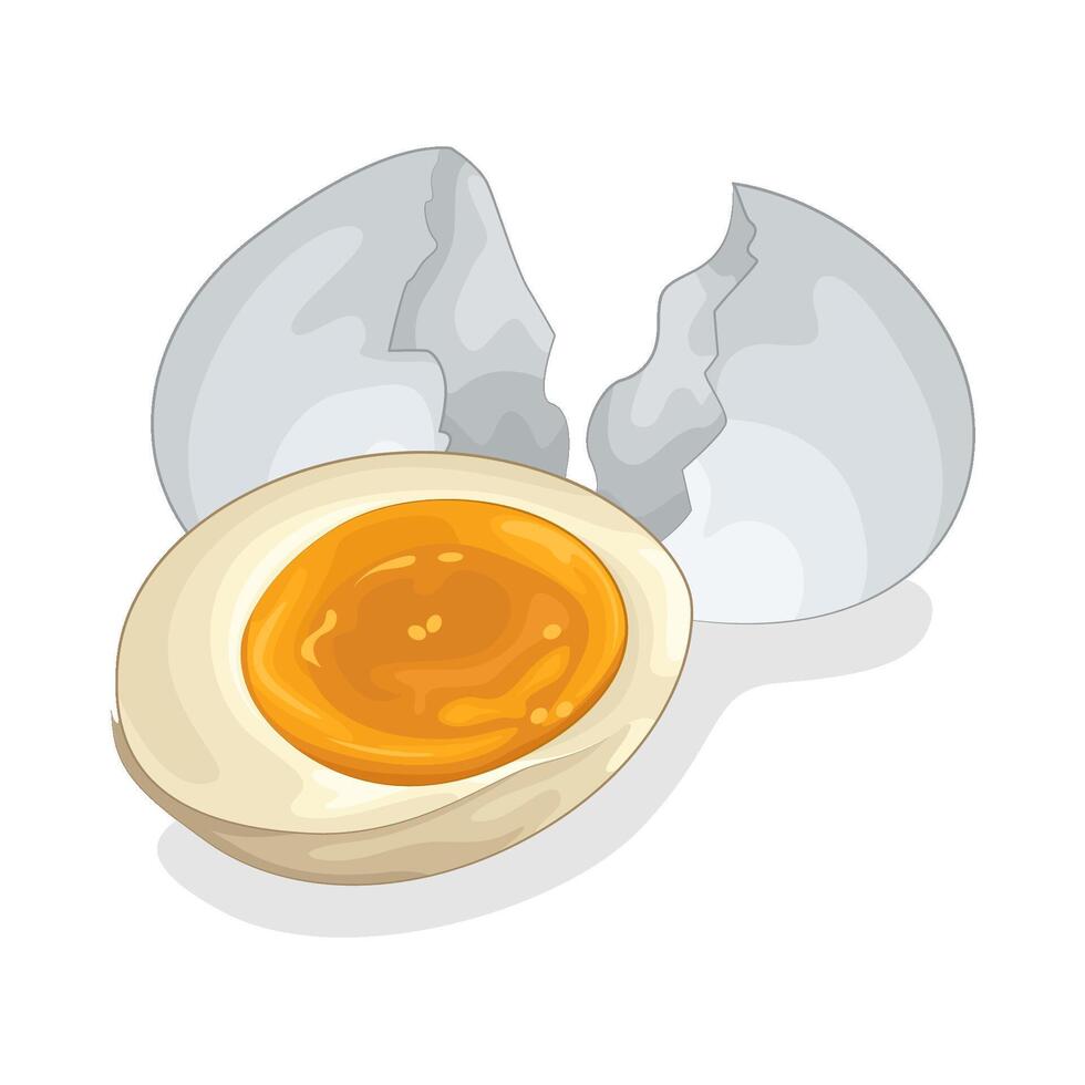 Illustration of boiled egg vector