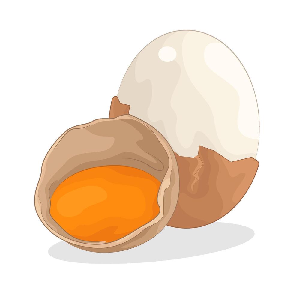 Illustration of egg vector