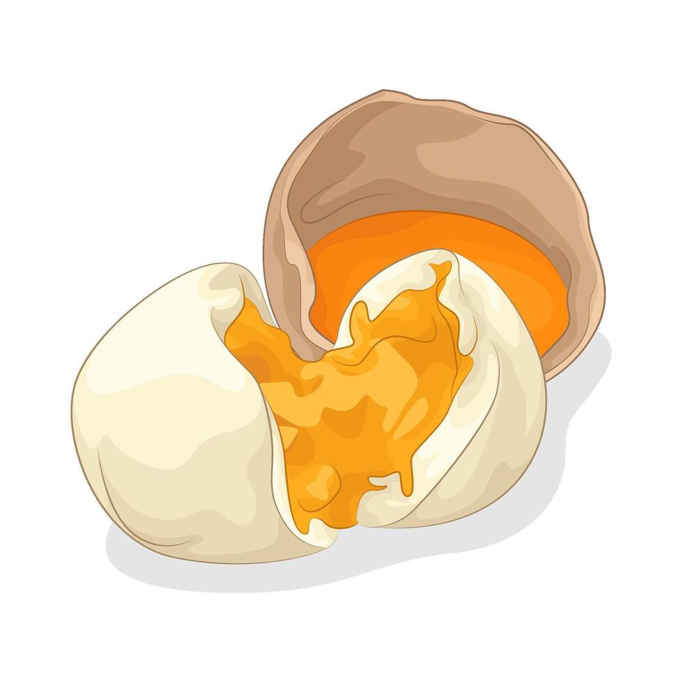 Illustration of egg vector