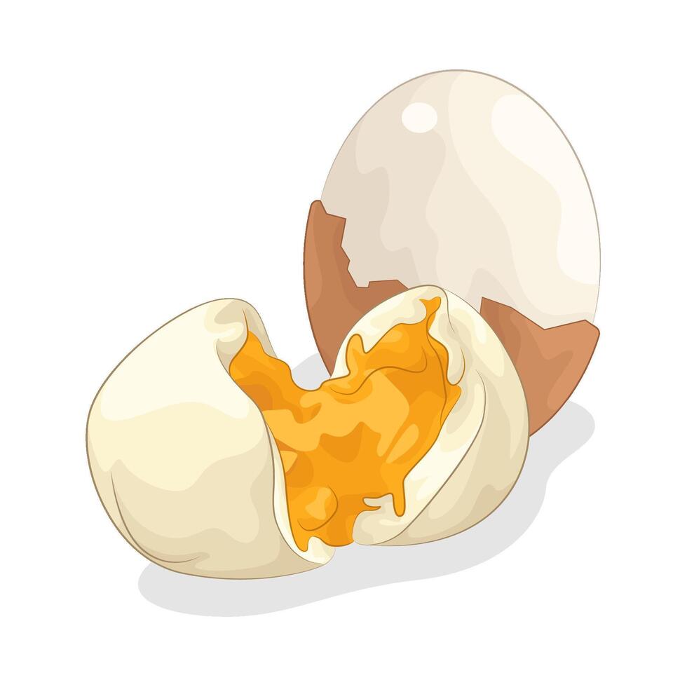 Illustration of boiled egg vector