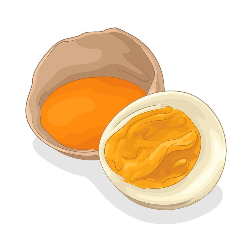 Illustration of egg vector