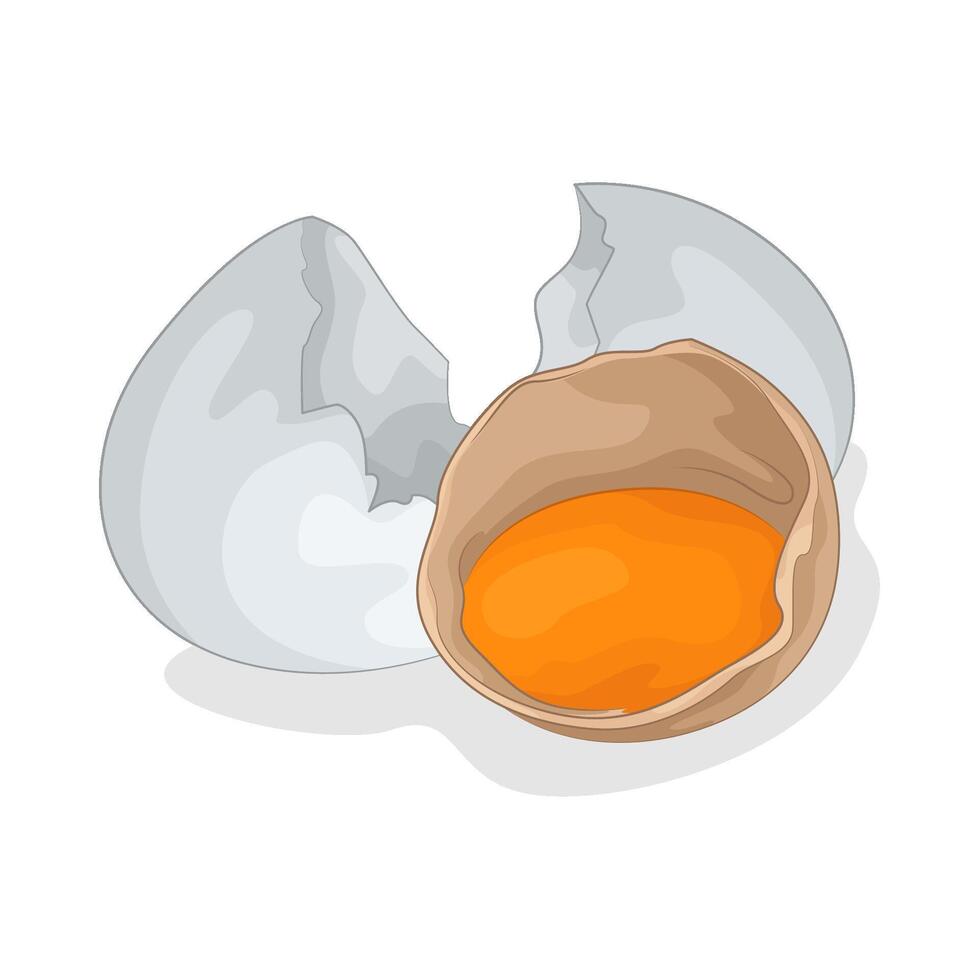 Illustration of egg vector