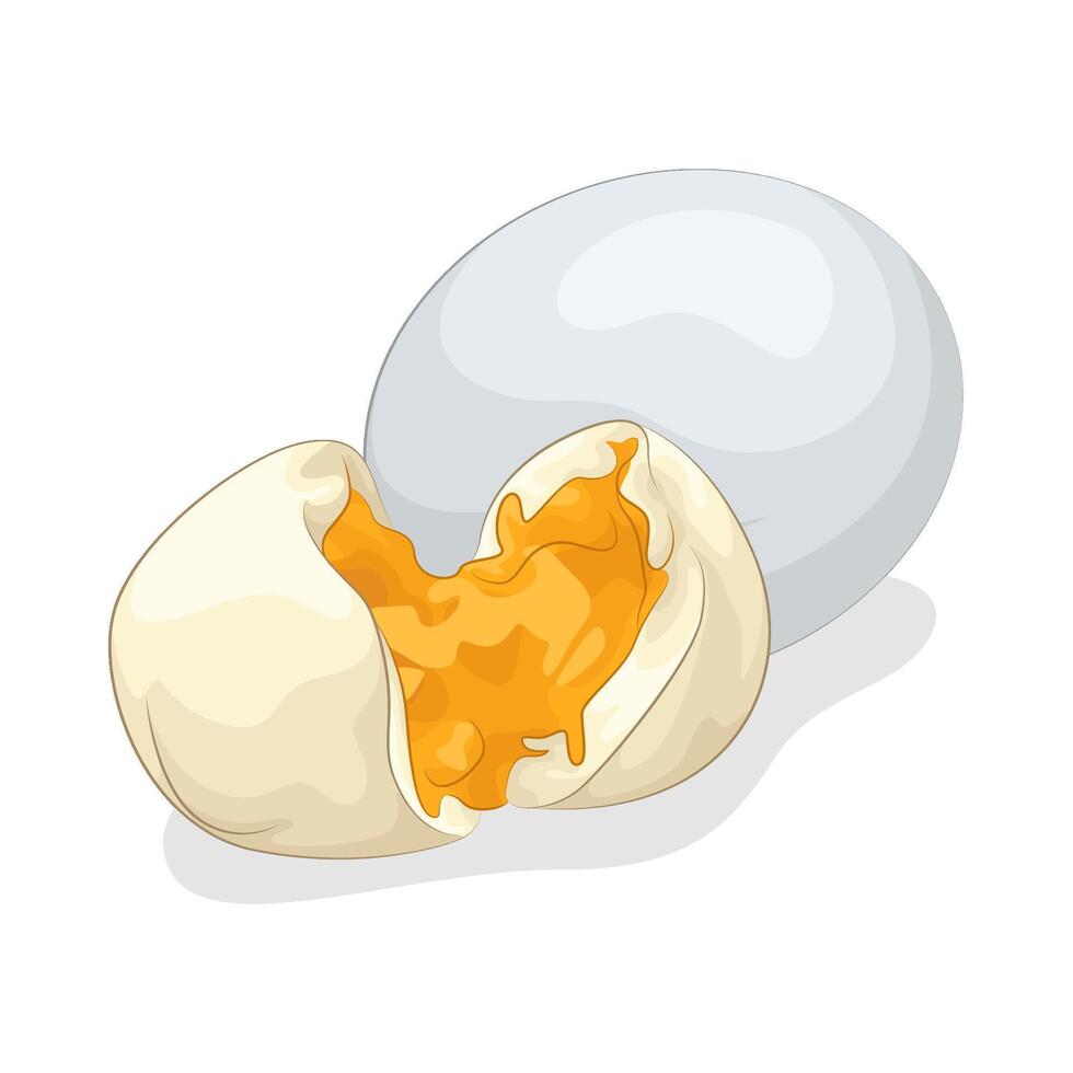 Illustration of boiled egg vector