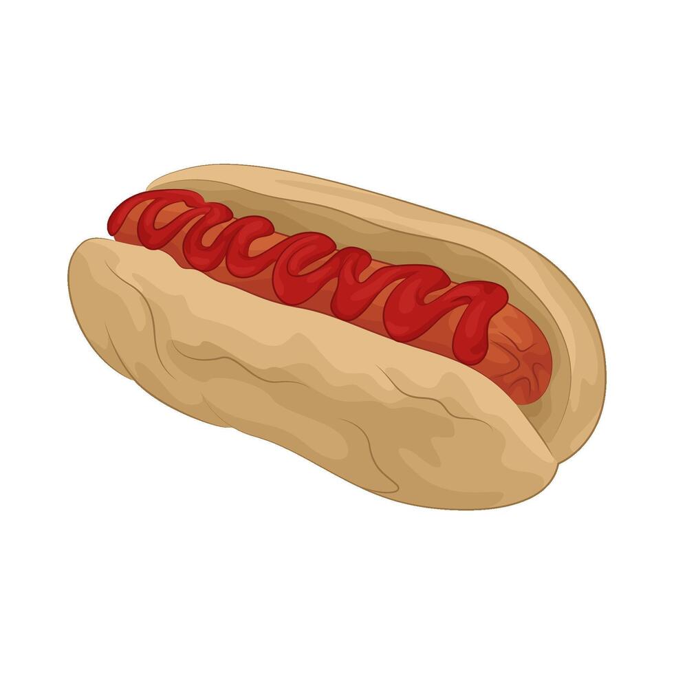 Illustration of hotdog vector