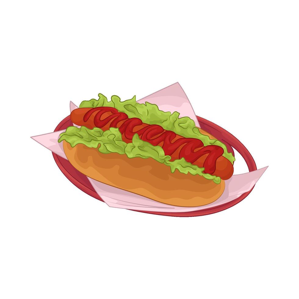Illustration of hotdog vector