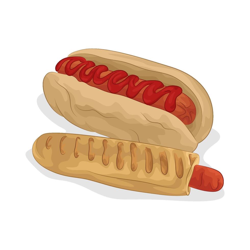 Illustration of hotdog vector
