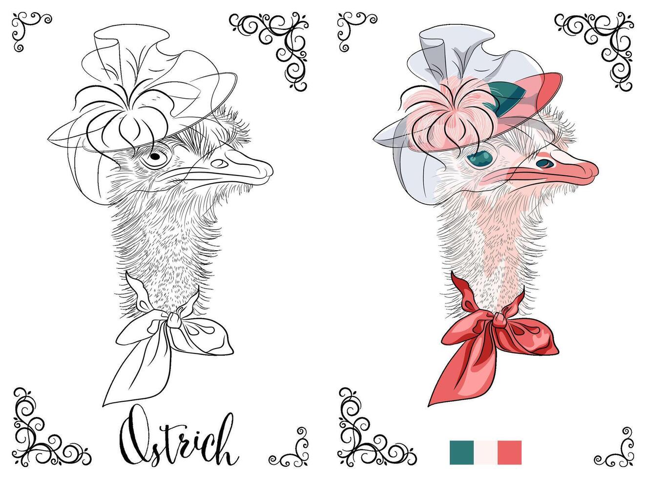 Coloring Book page Ostrich with Fancy Hat vector