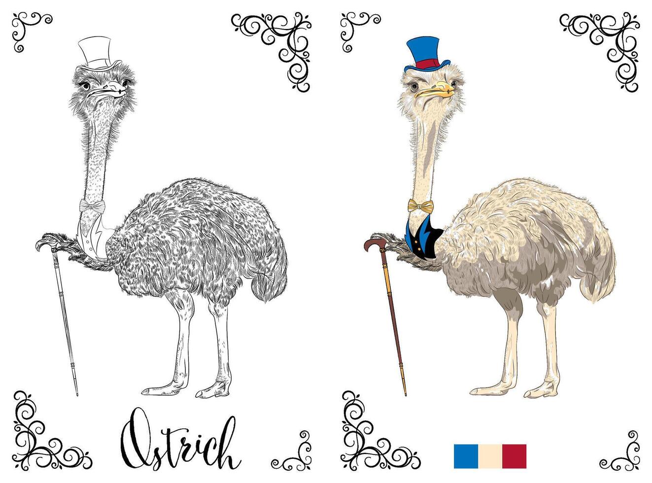 Coloring Book page Ostrich with Top Hat vector