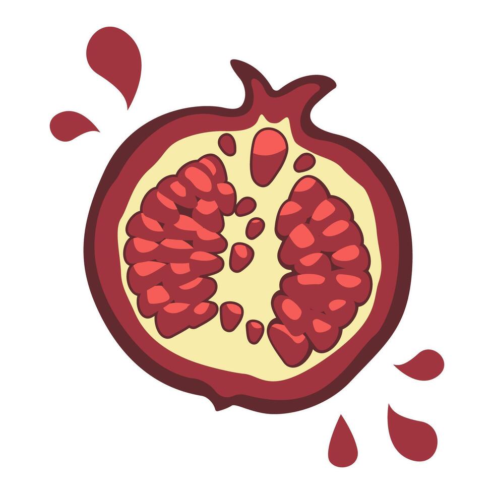 Sliced Fresh Pomegranate Fruit Healthy Nutrition Illustration vector