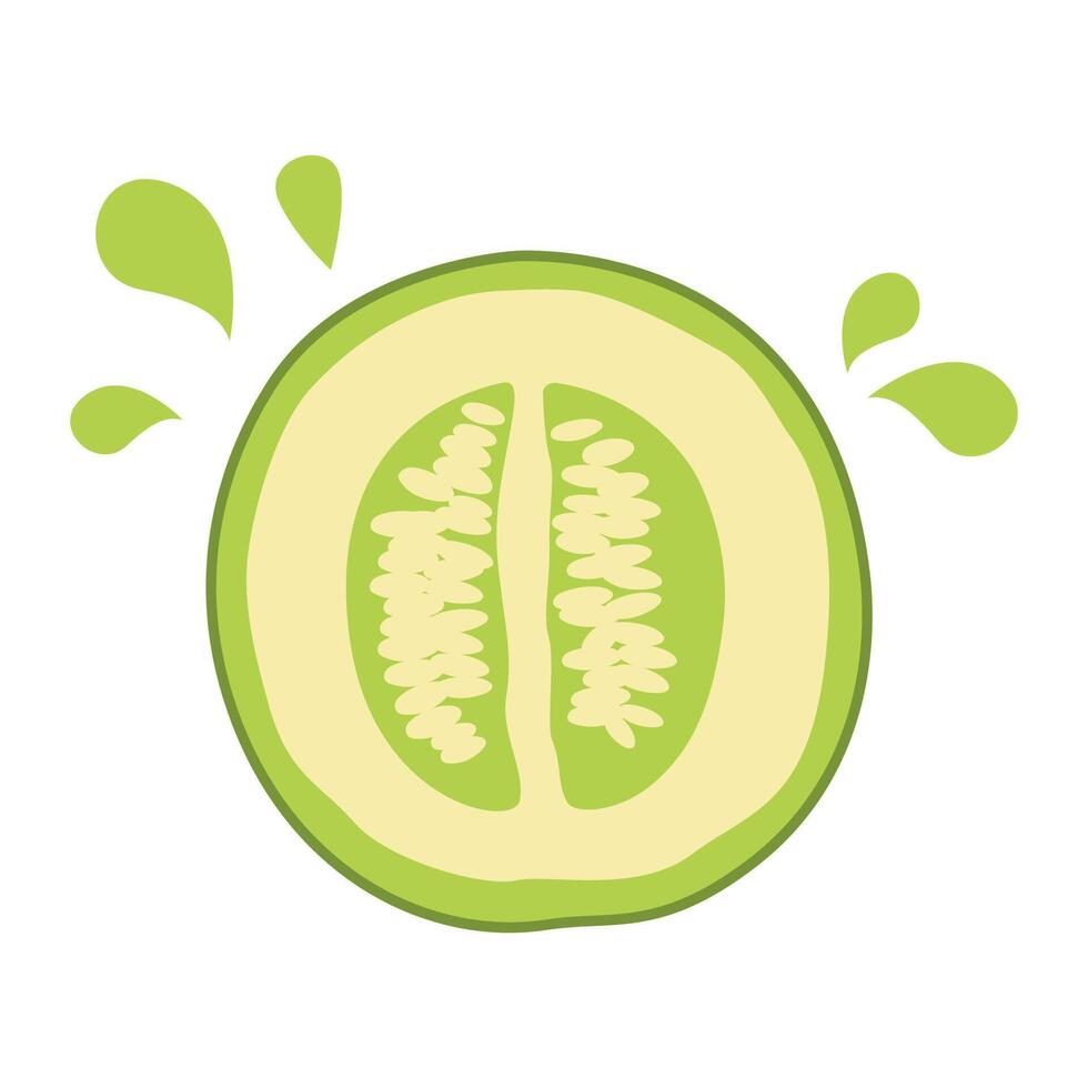 Sliced Fresh Melon Fruit Healthy Nutrition Illustration vector