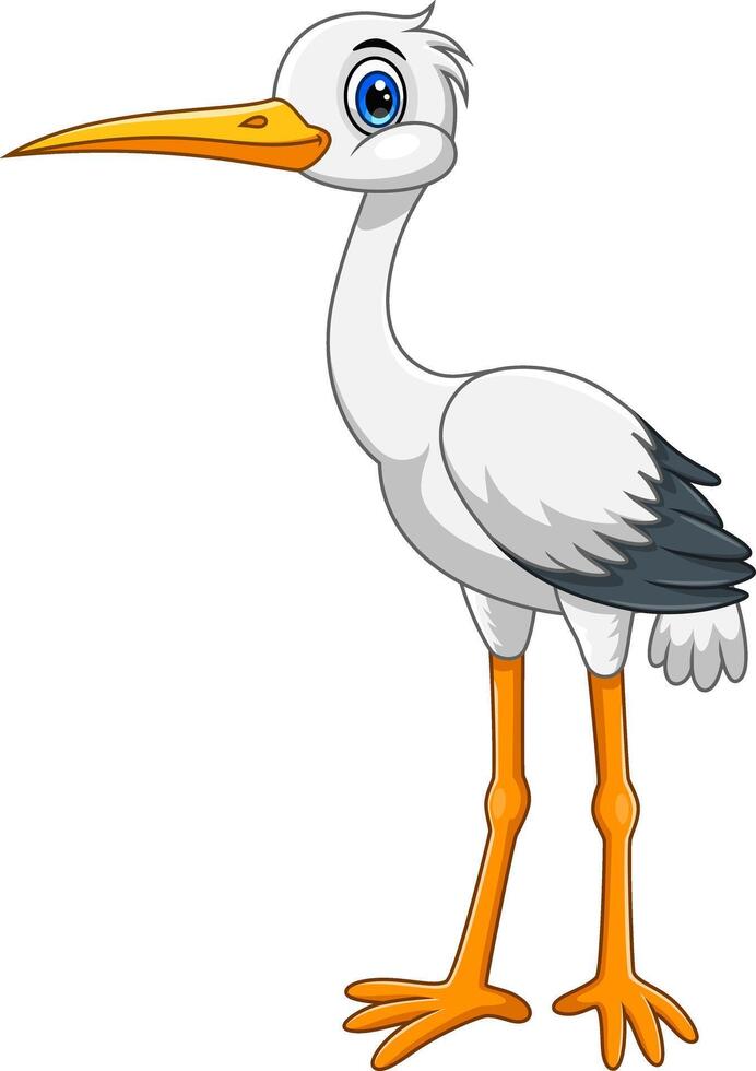 Cartoon cute white stork bird on white background vector