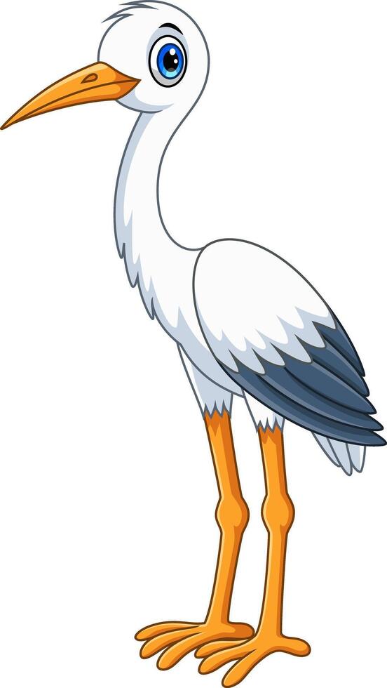 Cartoon cute white stork bird on white background vector