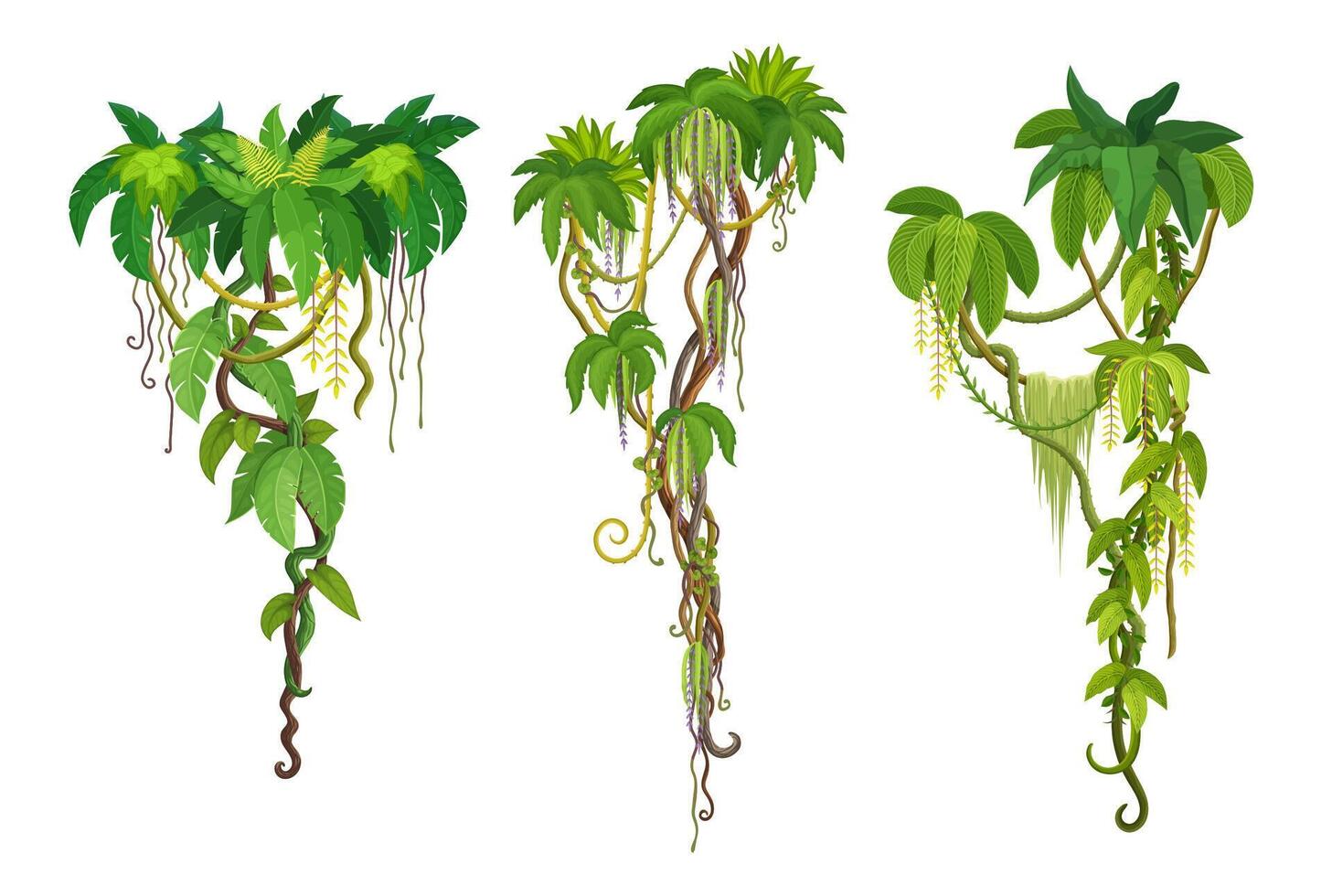 Tropical jungle liana vine branches of ivy plant vector