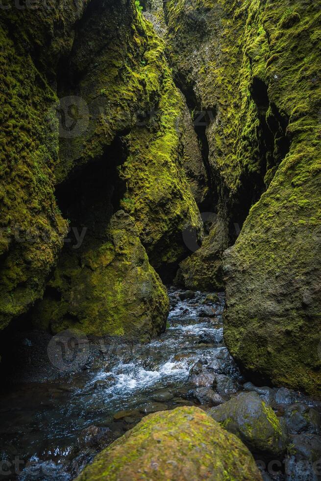 Narrow Moss-Covered Canyon with Flowing Stream in Iceland's Rugged Landscape photo