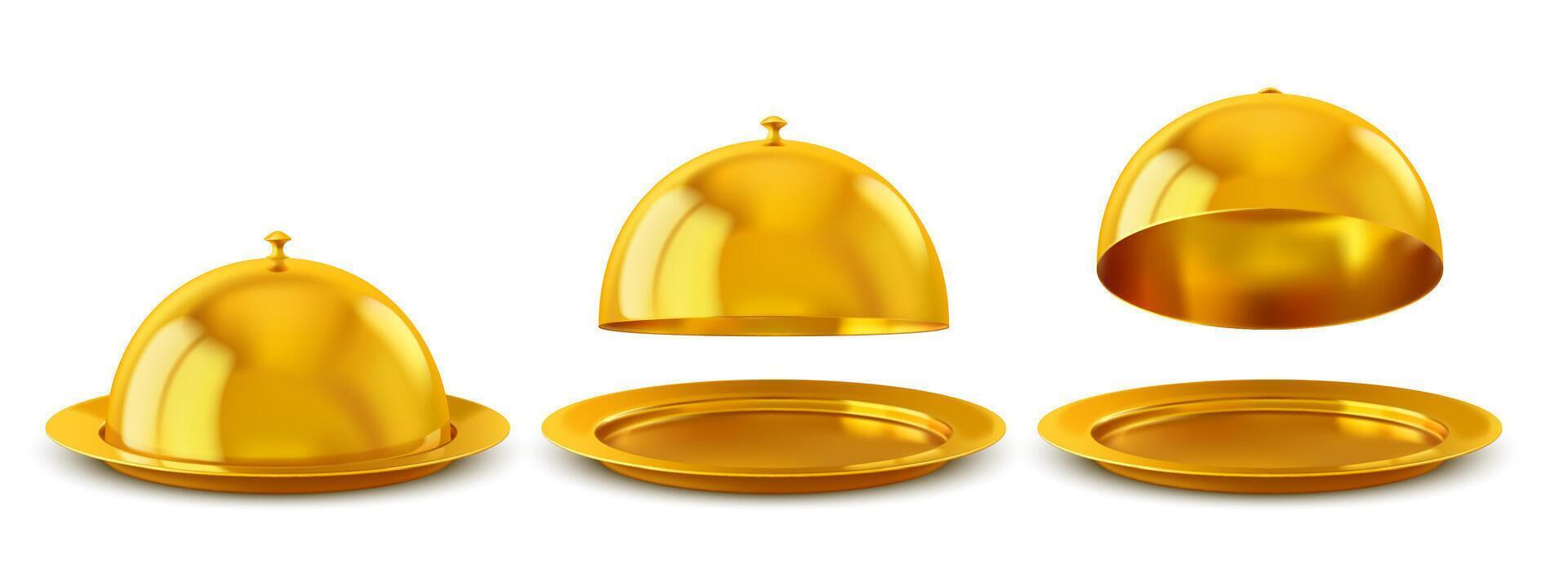 Golden dish trays set including cloche and platter vector