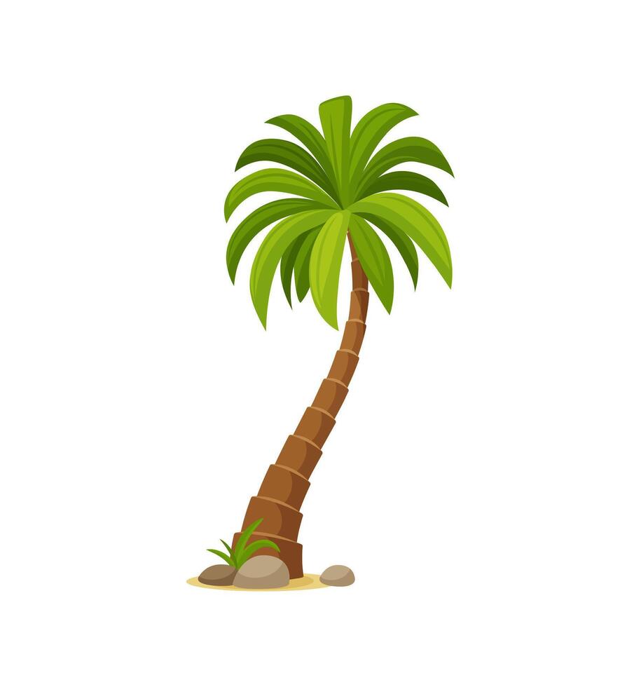 Cartoon jungle coconut palm tree, tropical plant vector