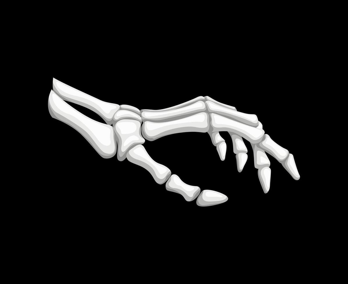 Skeleton hand gesture, isolated bony palm vector