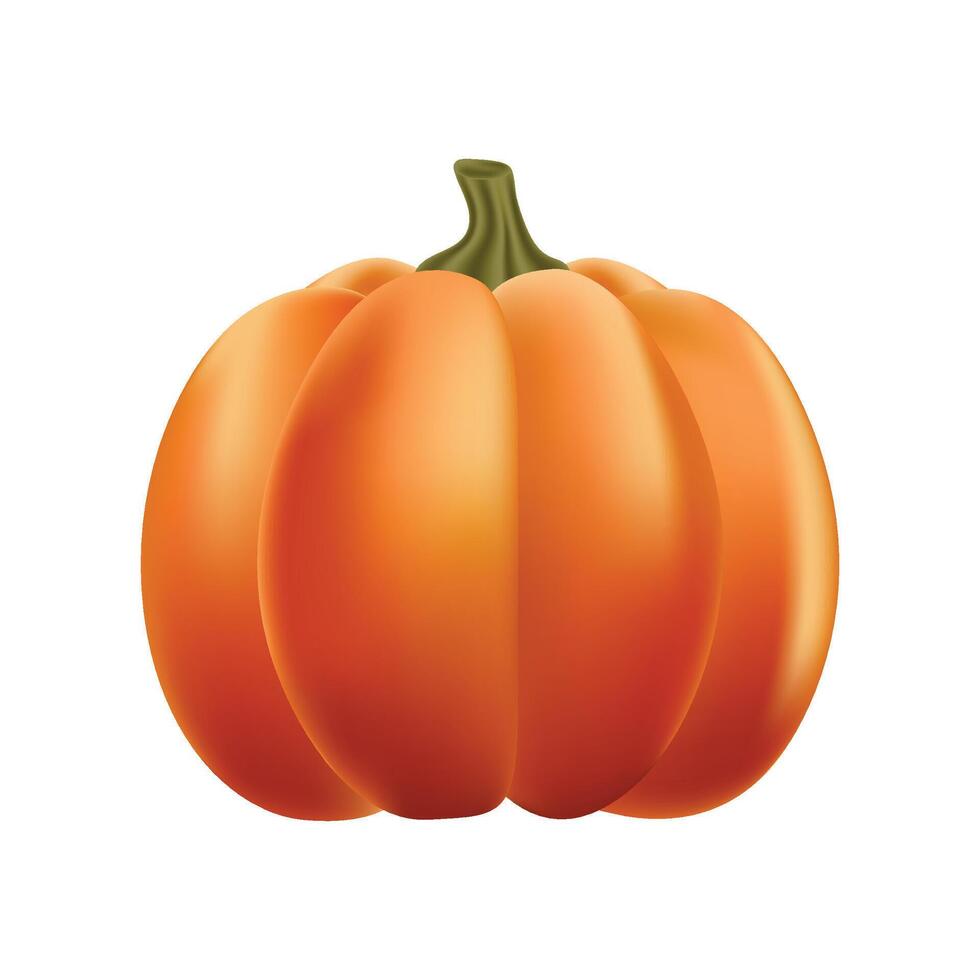 Pumpkin healthy food illustration isolated on white vector