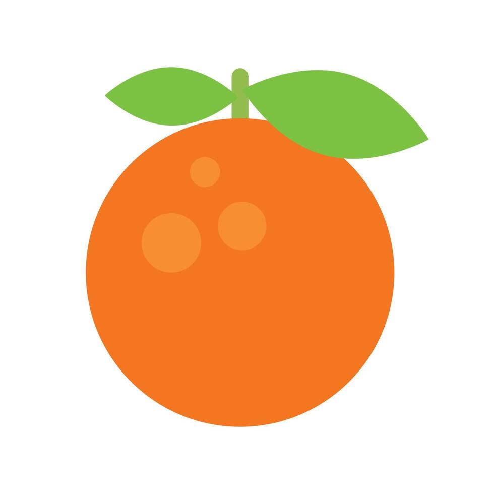 Orange fruit illustration on white background vector