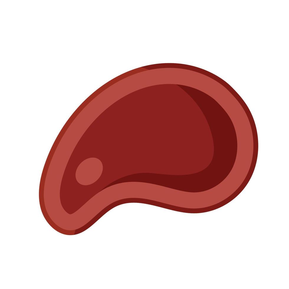 Pork leg food nutritive icon isolated on white vector
