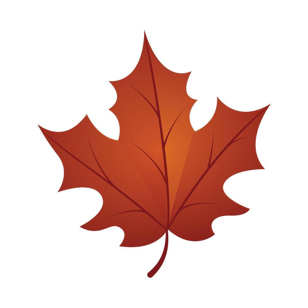 Hand drawn autumn leave illustration isolated on the white background vector
