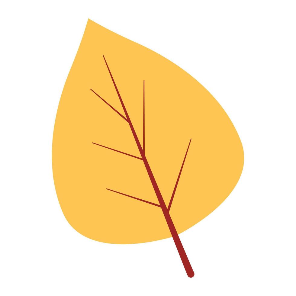 Hand drawn autumn leave illustration on the white background vector