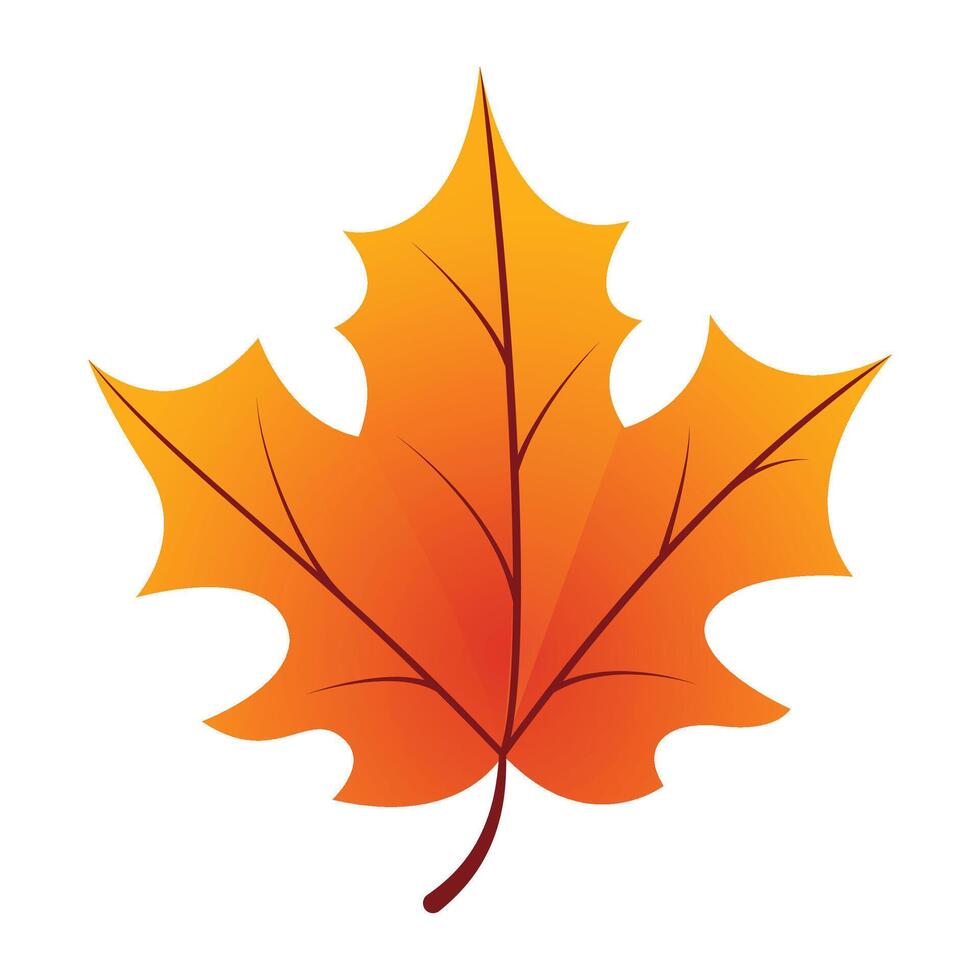 Hand drawn autumn leave illustration isolated on the white vector