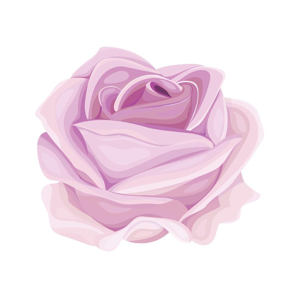 Detailed watercolor flower illustration, Elegant watercolor spring flower vector