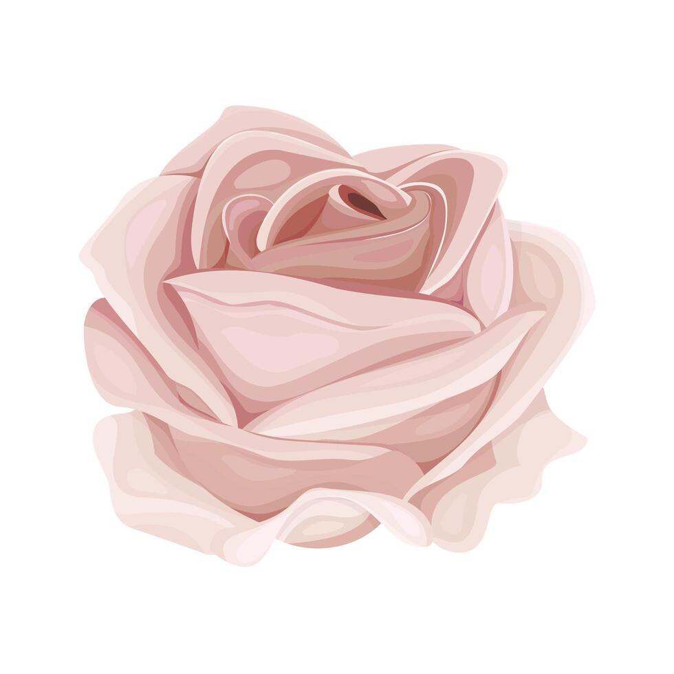 Detailed watercolor flower illustration, Elegant watercolor spring flower vector