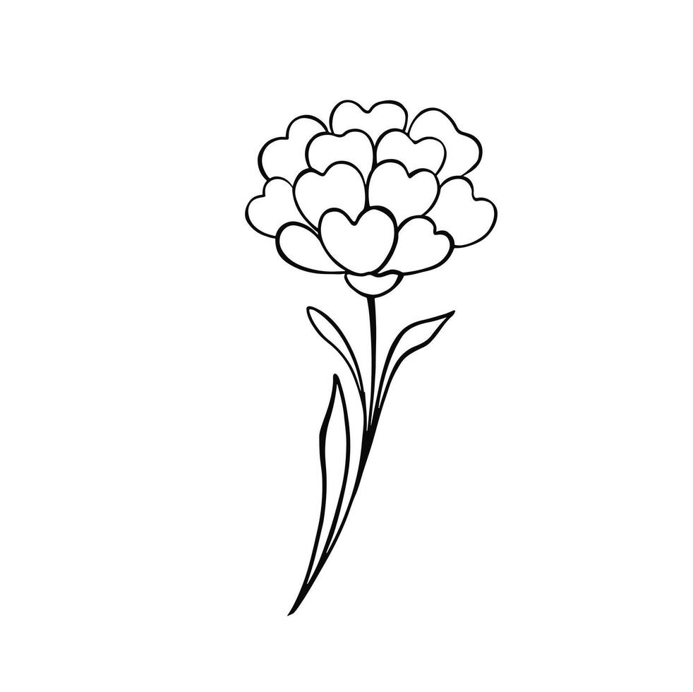 Lily decorative coloring line isolated peony flower, illustration vector
