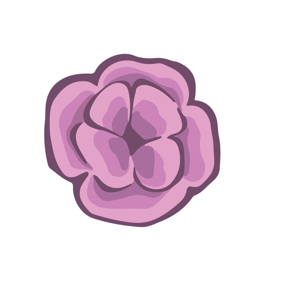 small purple spring flower, illustration vector