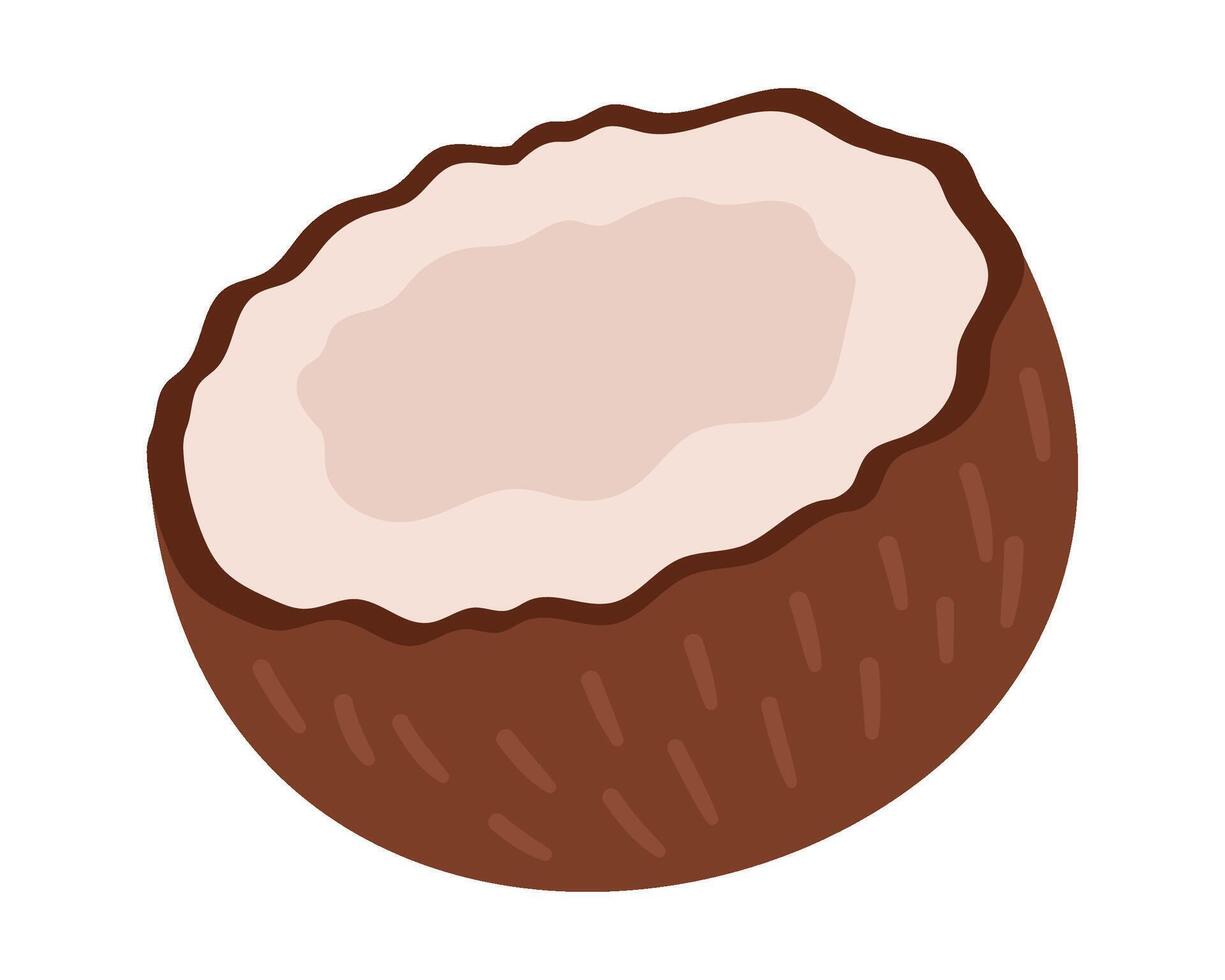 Fruit half coconut in cartoon hand drawn simple style. Editable variable color vector