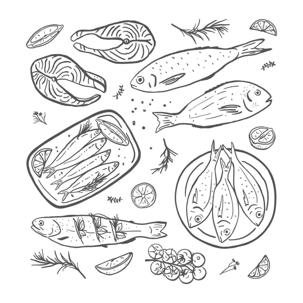 Hand drawn different fish set. Simple seafood design for restaurants, menu, fish market, recipes vector