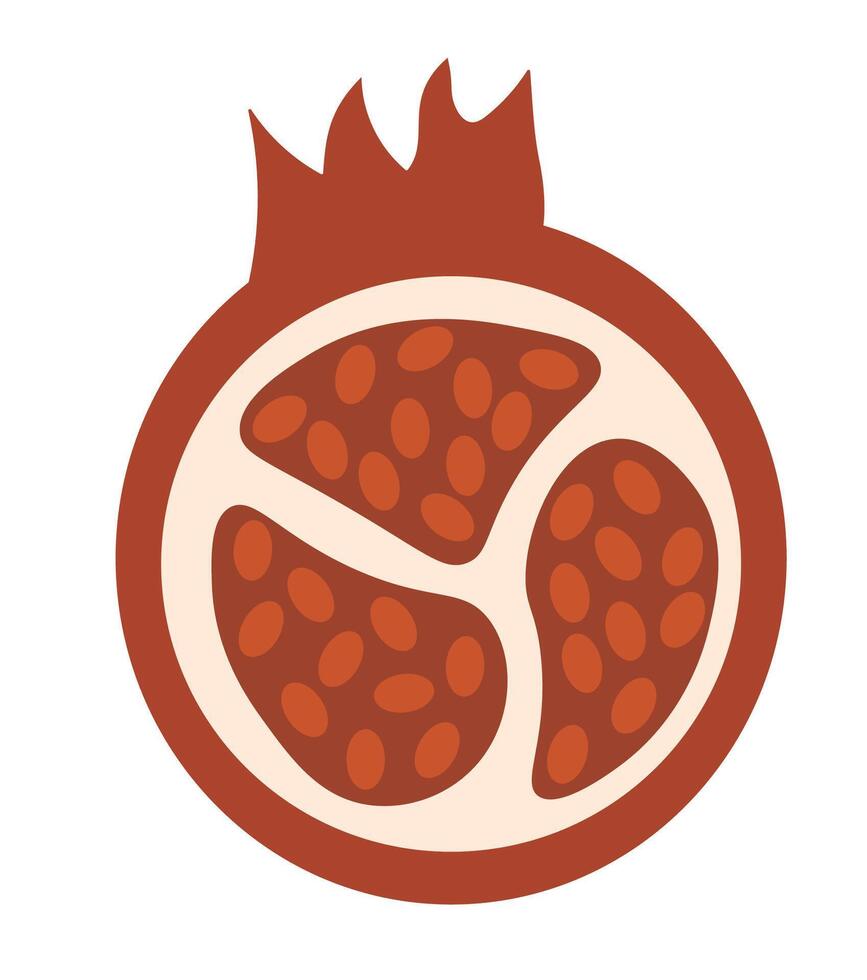 illustration of pomegranate sliced with seeds. Flat illustration. vector