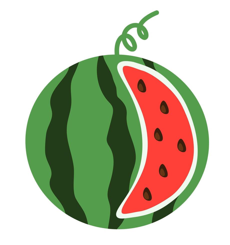 Watermelon dissected Element. Flat illustration. vector