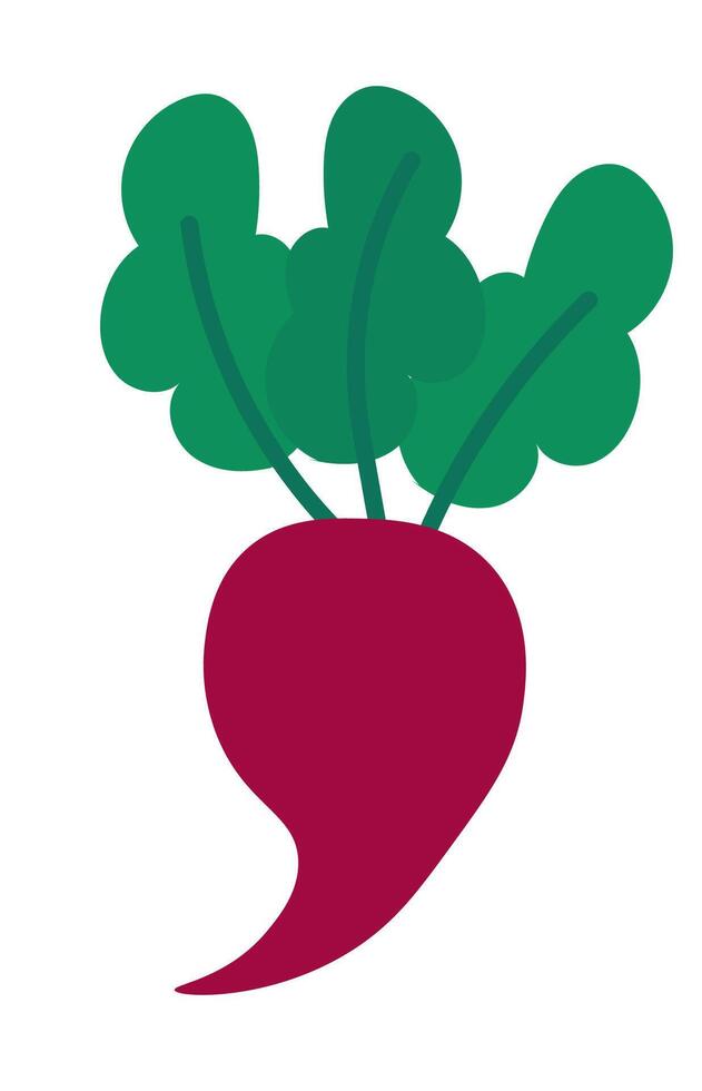 Beetroot element on white background. Summer vegetable. flat illustration. vector
