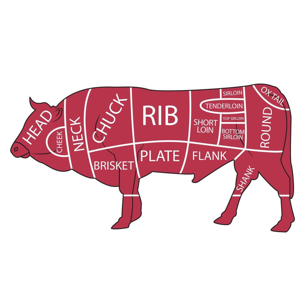 names of meat parts of a cow vector