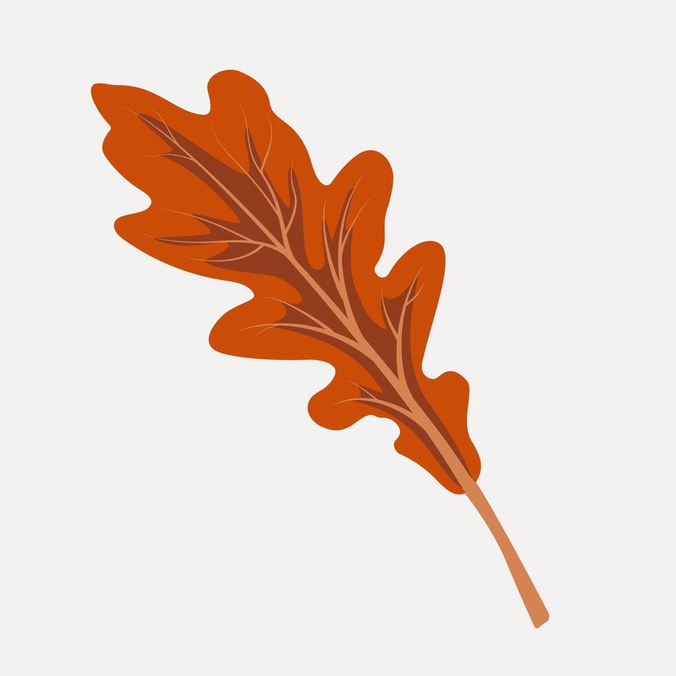 Autumn oak leaf. Decorative autumn foliage. Template for illustrations vector