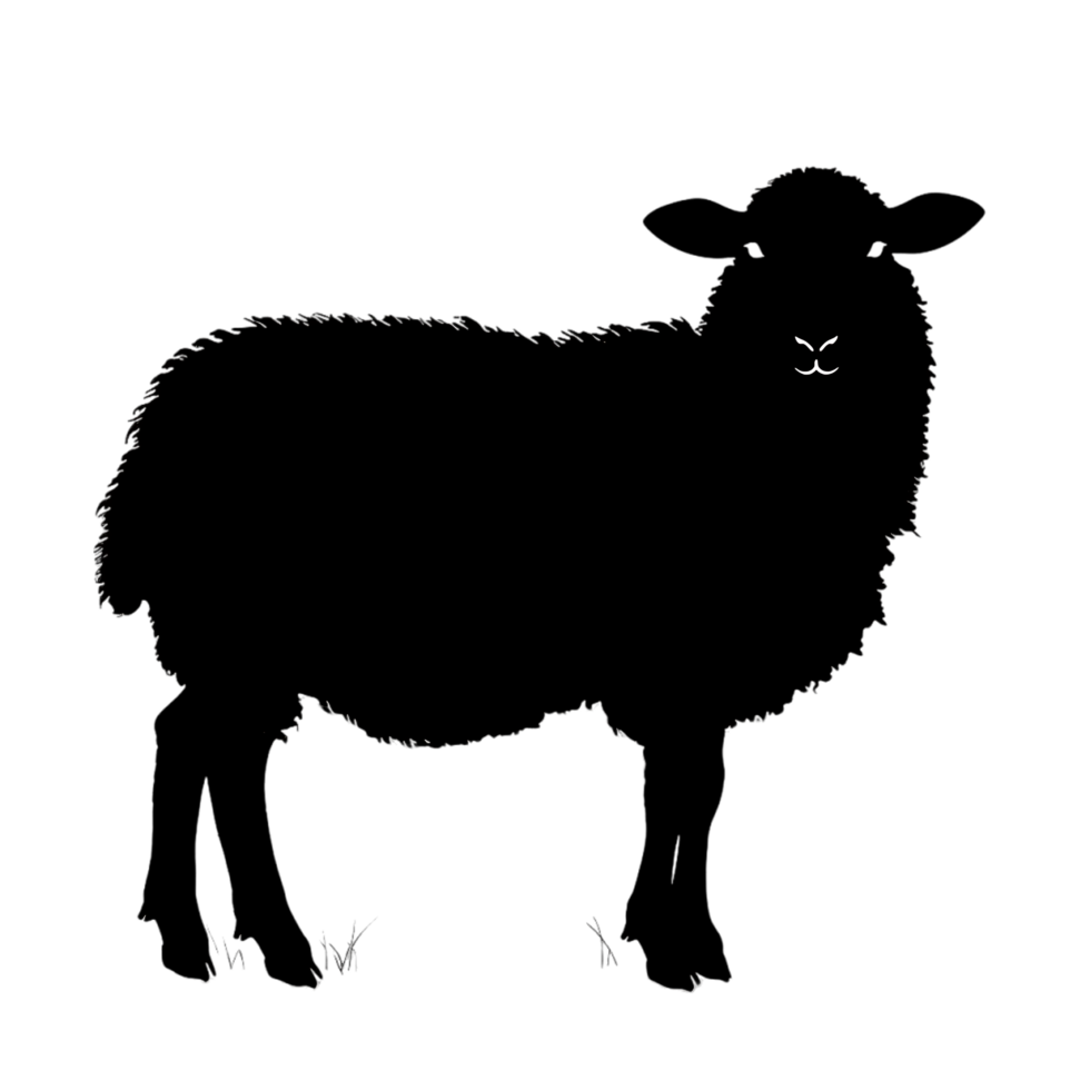 Sheep silhouette Arabian pattern set against transparent background png
