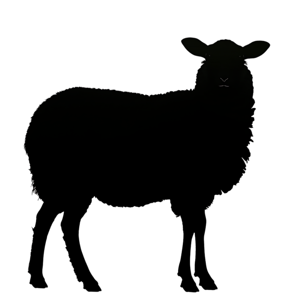 Sheep silhouette Arabian pattern set against transparent background png