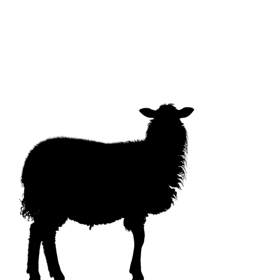 Sheep silhouette Arabian pattern set against transparent background png