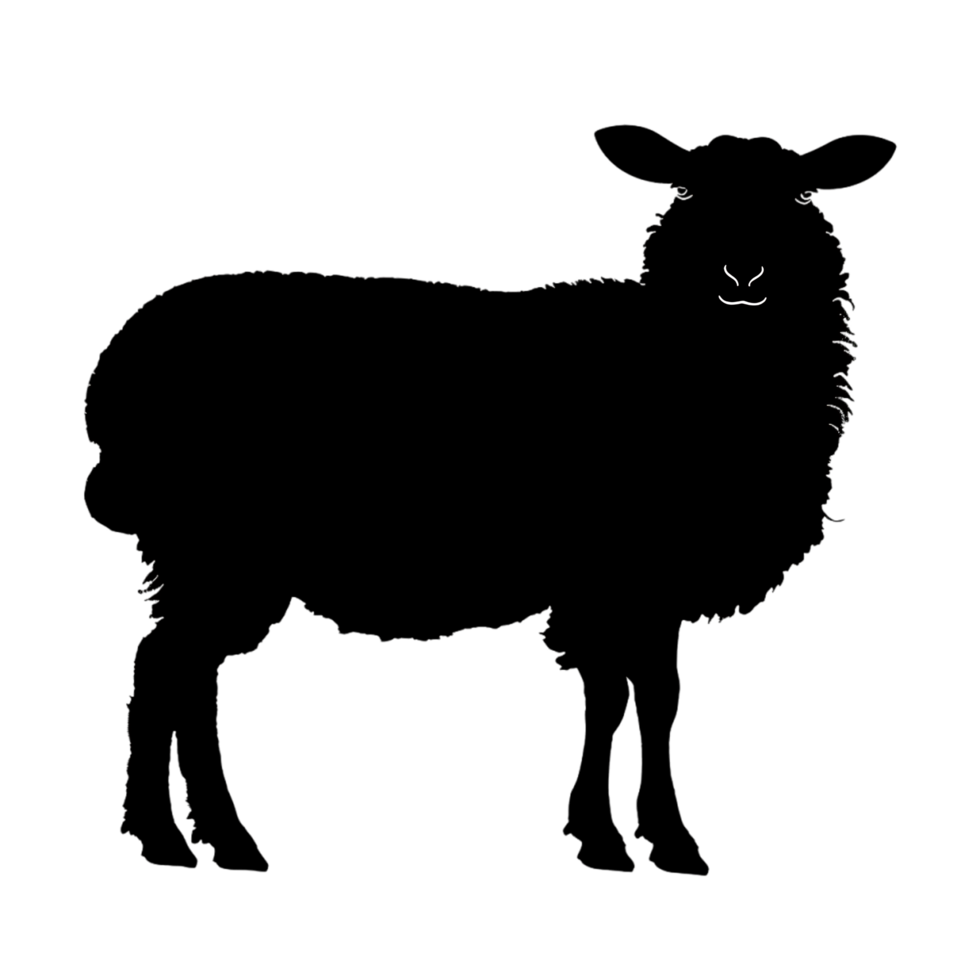 Sheep silhouette Arabian pattern set against transparent background png