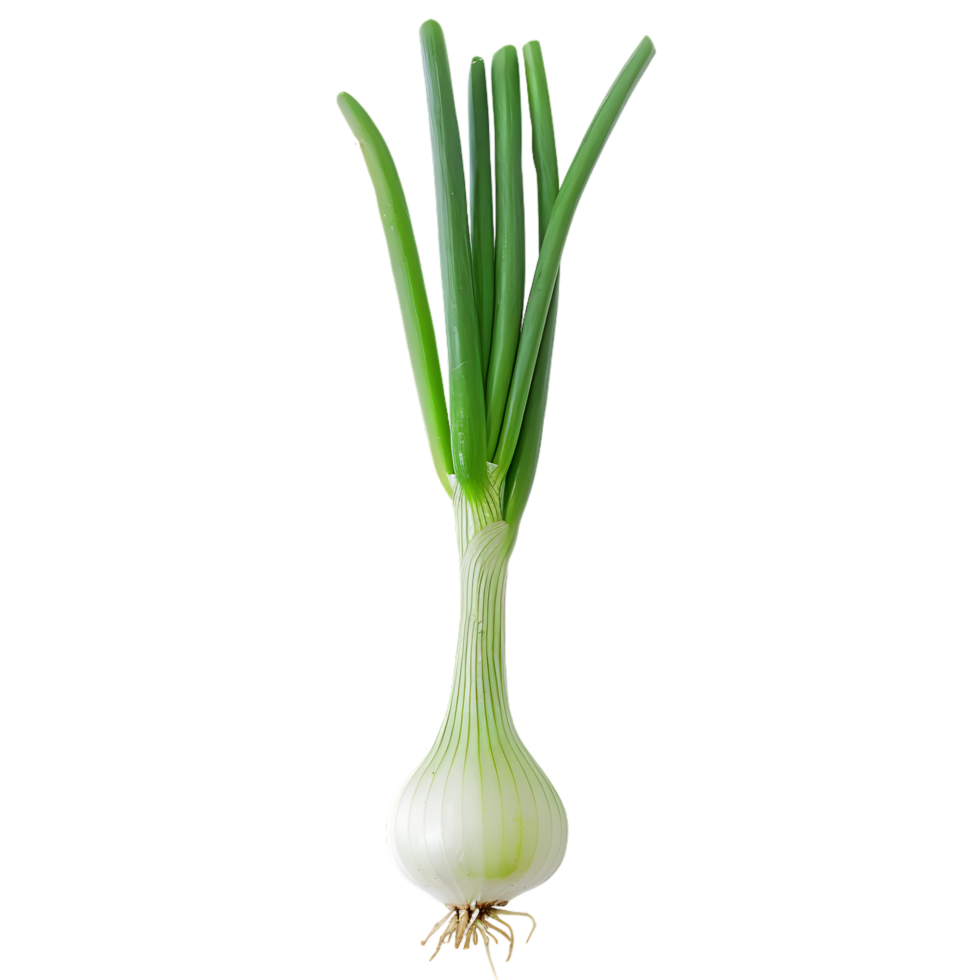 A green onion with a green stem isolated against a transparent background png