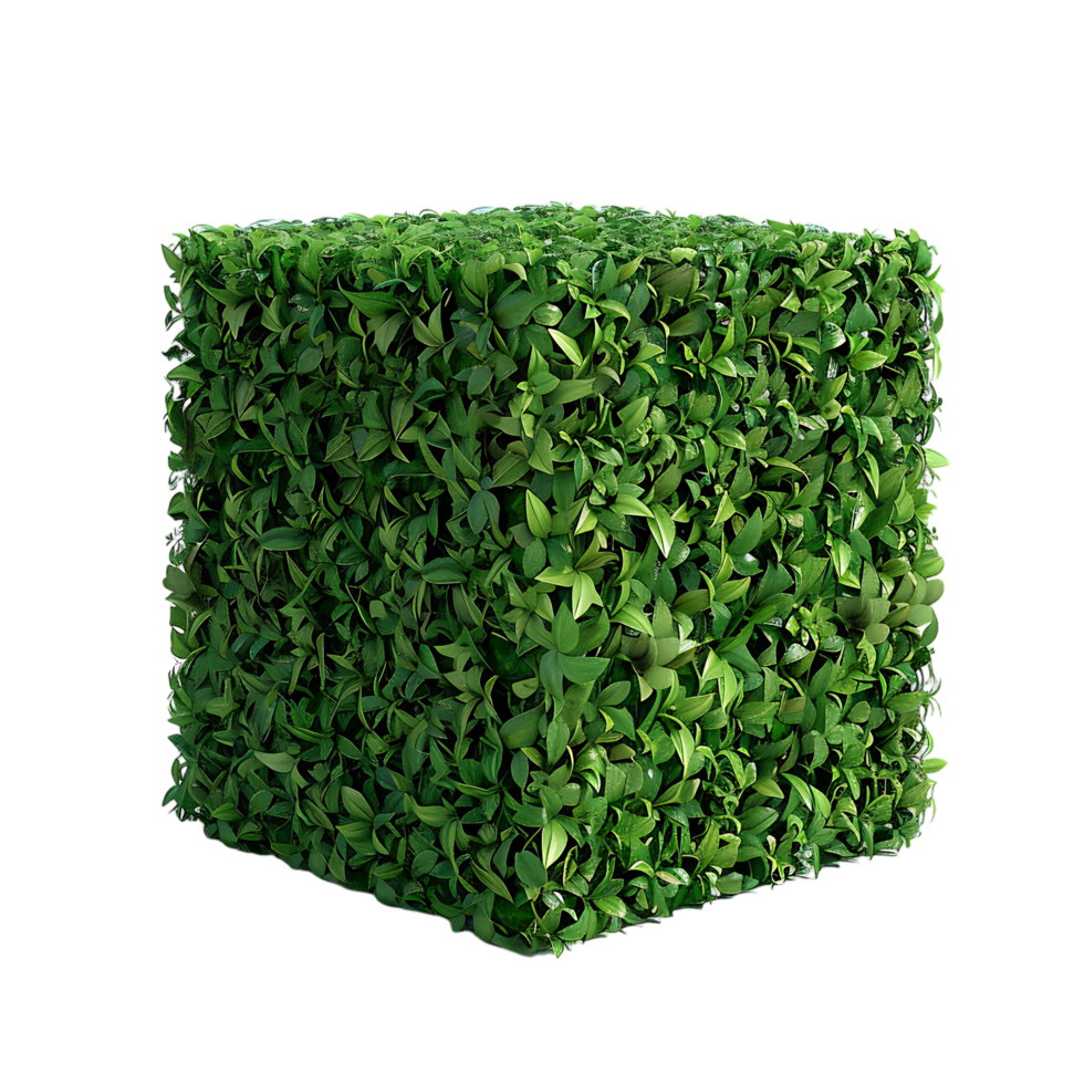 A solitary cube shaped topiary png