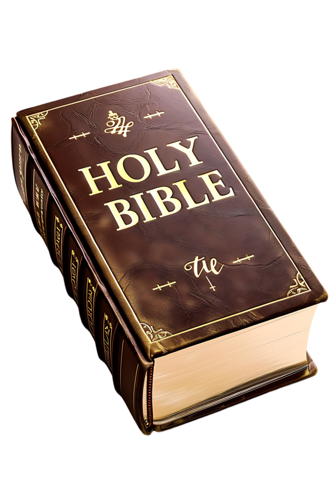 HOLY BIBLE isolated against a transparent background png