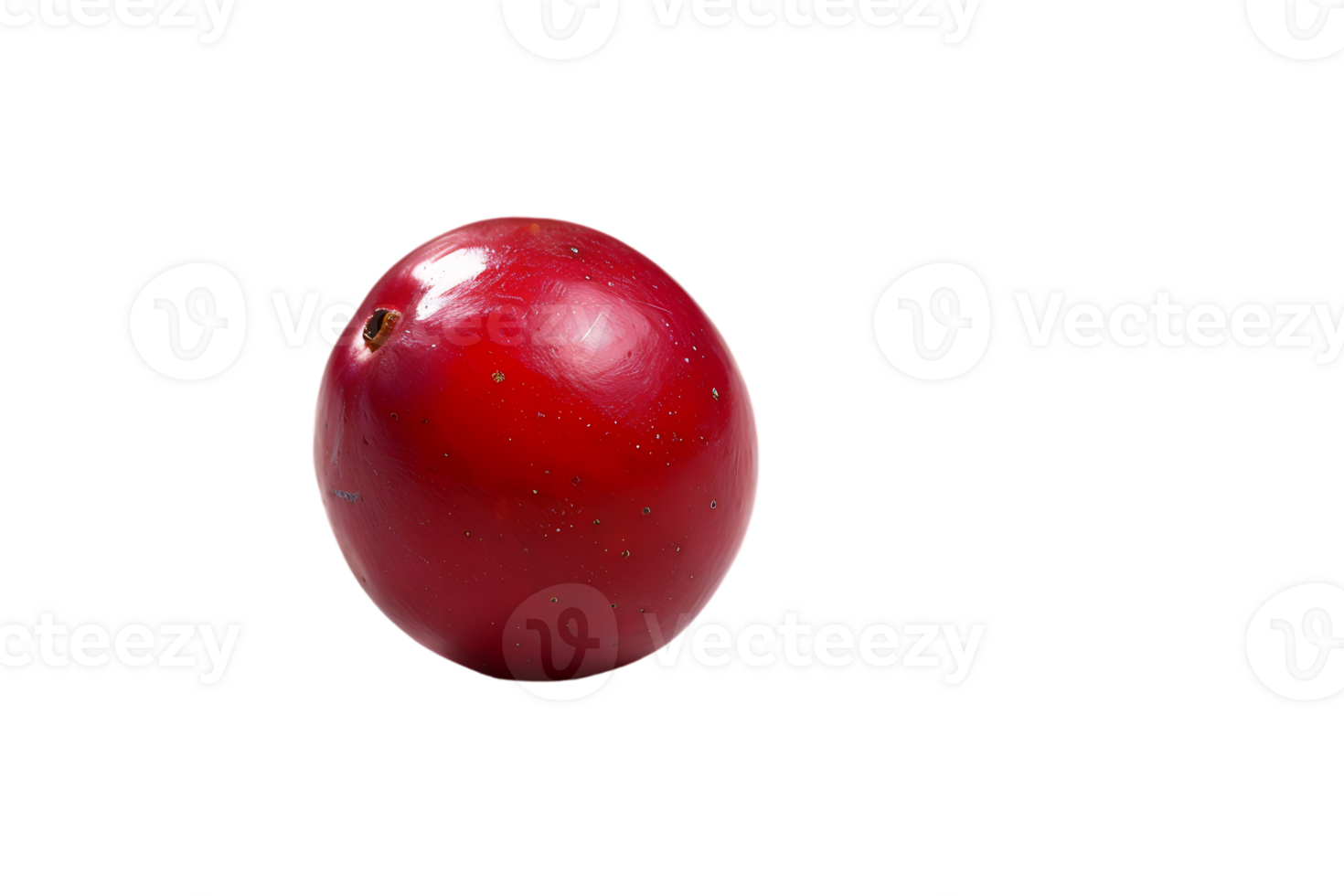The solitary cranberry sits poised its vibrant hue accentuated in high definition png