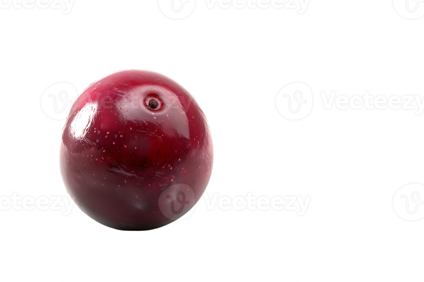 The solitary cranberry sits poised its vibrant hue accentuated in high definition png