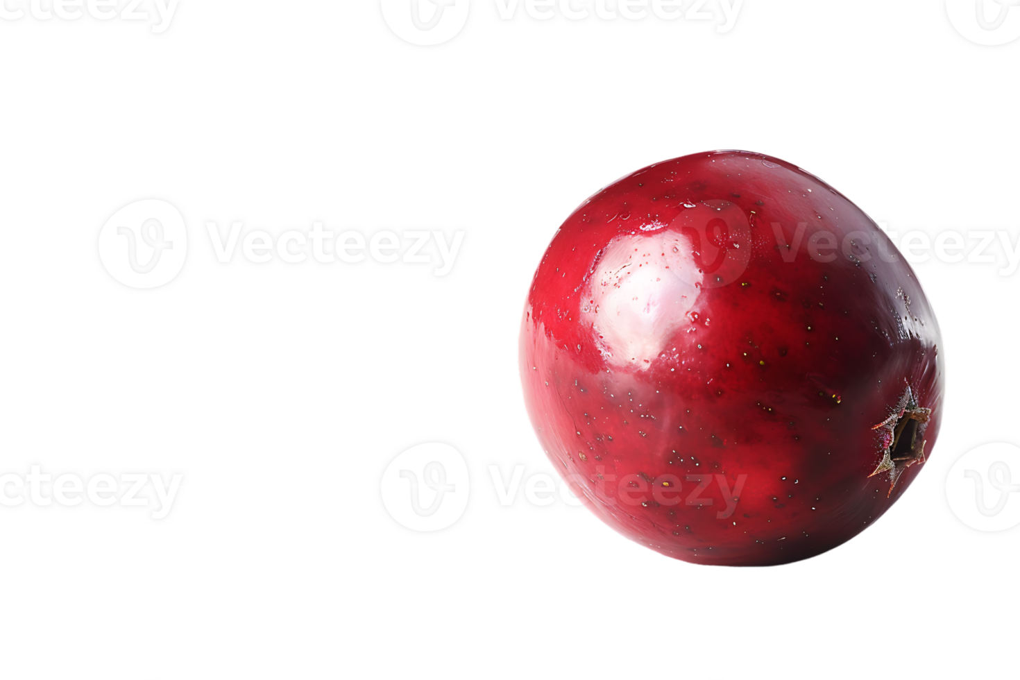 The solitary cranberry sits poised its vibrant hue accentuated in high definition png