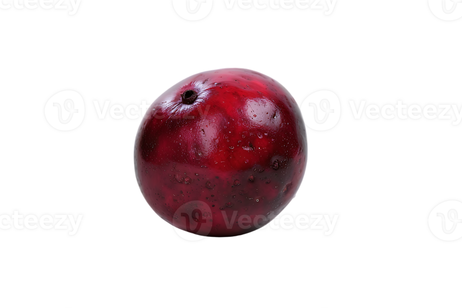 The solitary cranberry sits poised its vibrant hue accentuated in high definition png